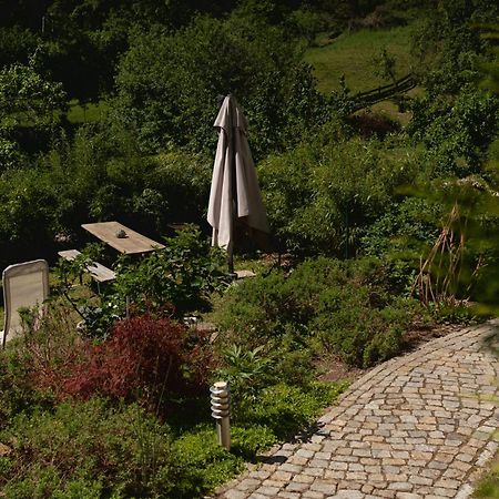 Haus Am Berzdorfer See - 3 Schlafzimmer - Ganzes Haus Zur Alleinnutzung - Terrasse - Hochwertige Ausstattung ゲルリッツ エクステリア 写真