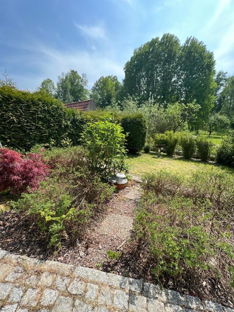 Haus Am Berzdorfer See - 3 Schlafzimmer - Ganzes Haus Zur Alleinnutzung - Terrasse - Hochwertige Ausstattung ゲルリッツ エクステリア 写真