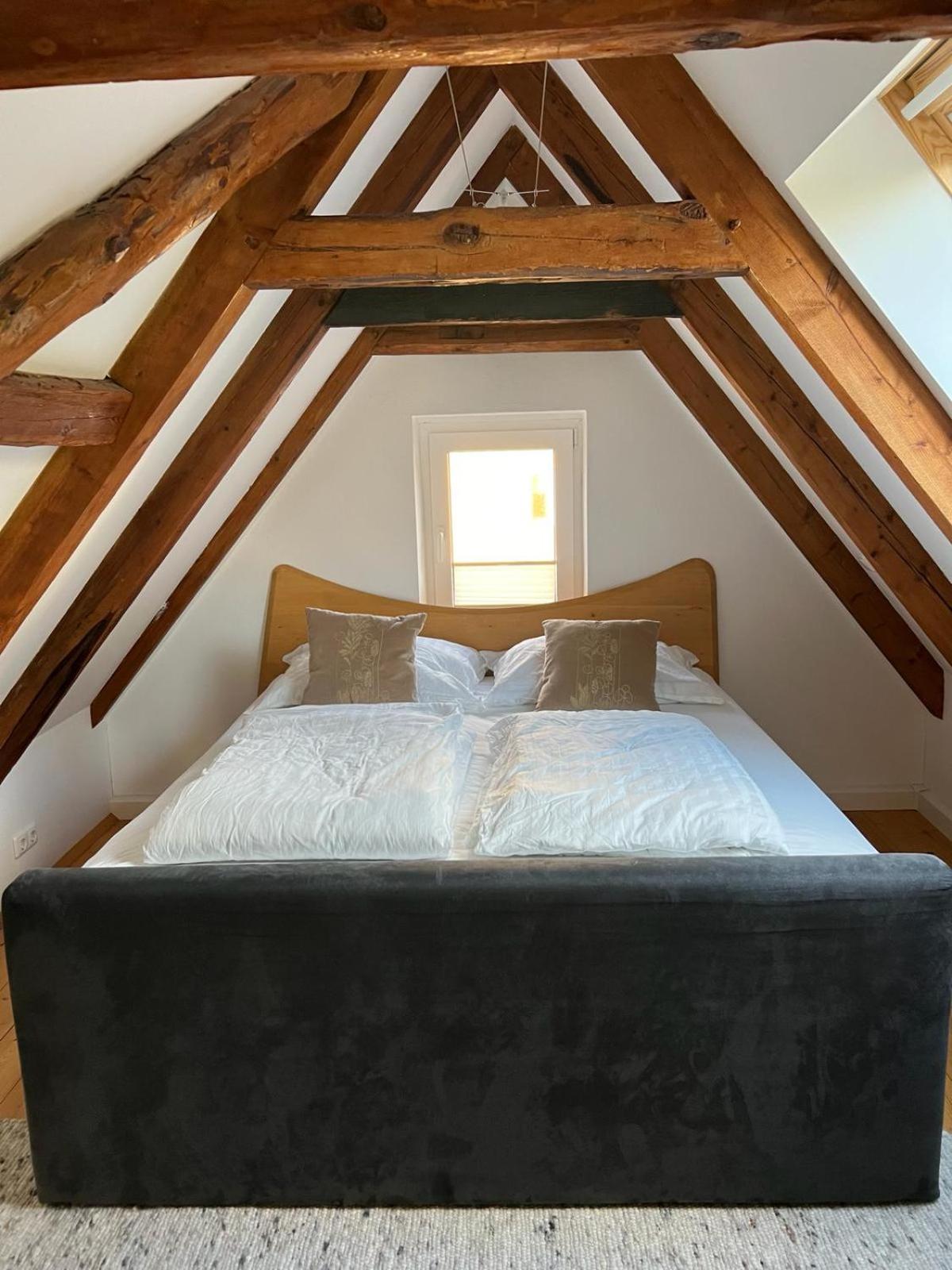 Haus Am Berzdorfer See - 3 Schlafzimmer - Ganzes Haus Zur Alleinnutzung - Terrasse - Hochwertige Ausstattung ゲルリッツ エクステリア 写真