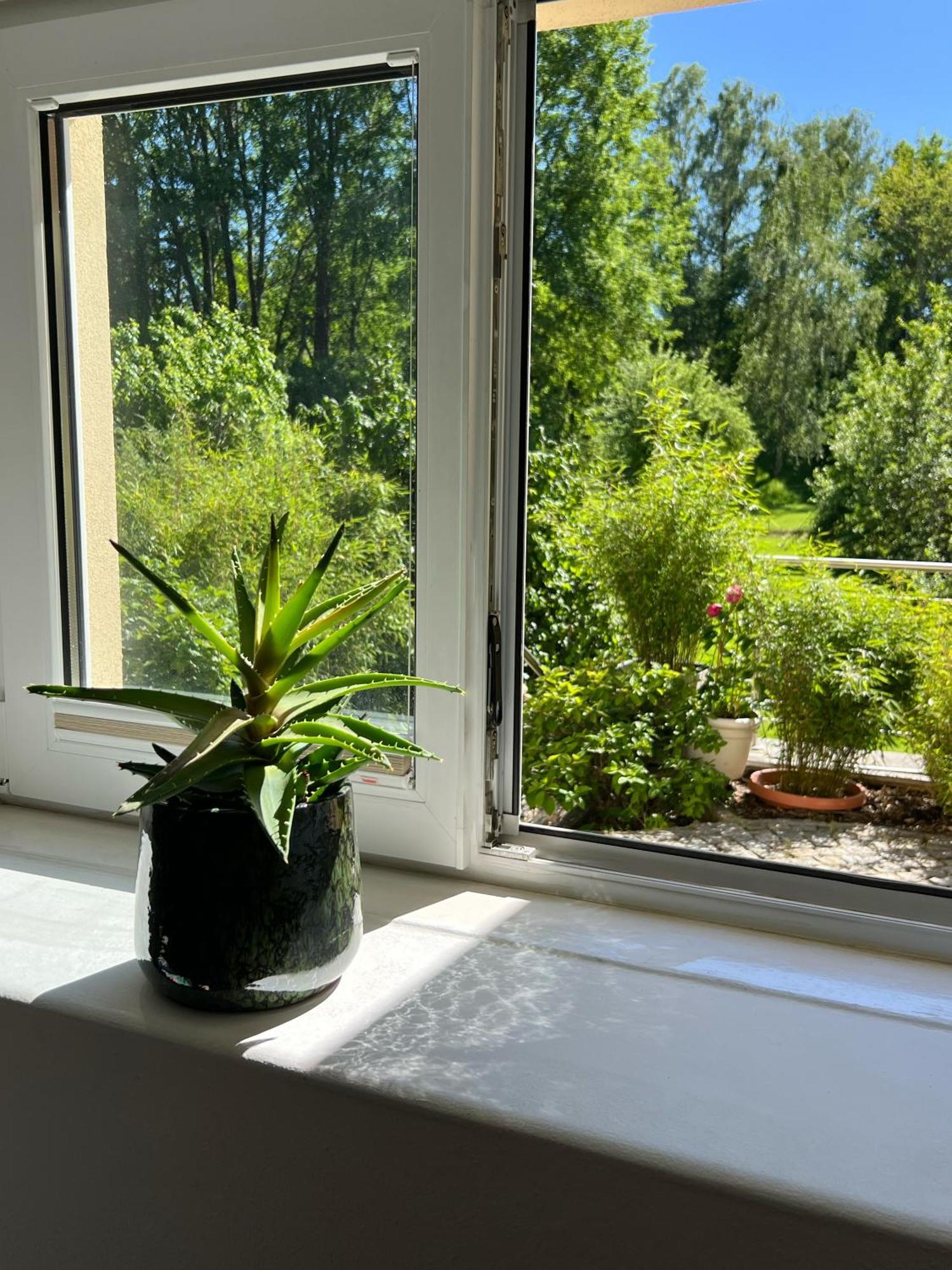 Haus Am Berzdorfer See - 3 Schlafzimmer - Ganzes Haus Zur Alleinnutzung - Terrasse - Hochwertige Ausstattung ゲルリッツ エクステリア 写真